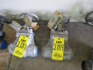 LOT (2) VALVES, GLOBE TYPE, 2" SIZE, 800# RATING, ALLOY 20 MATERIAL, SW/SCH.40 CONNECTIONS, ASTM B462 SPECIFICATION, OS&Y STYLE, HARD-FACED TRIM. PART # 830-A20-13-SW (W-51) LOADING & HANDLING FEE $15-